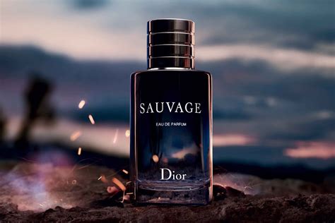 dior sauvage ersatz|Dior Sauvage best price.